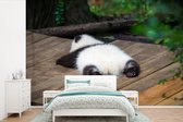 Behang - Fotobehang Dier - Panda - Slapen - Breedte 525 cm x hoogte 350 cm