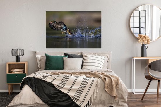 Affiche Canard - Water - Ressorts - 120x80 cm