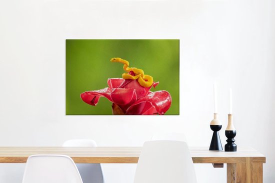 Petit serpent jaune fleur rouge 90x60 cm - impression photo sur toile peinture (Décoration murale salon / chambre à coucher) / Animaux sauvages Peintures Toile