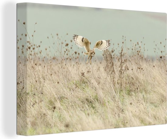 Canvas Schilderij Vliegende uil in het landschap van het Verenigd Koninkrijk - 90x60 cm - Wanddecoratie