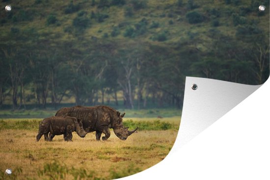 Kartonnen 3D Puzzel Neushoorn | Alles in Wonderland