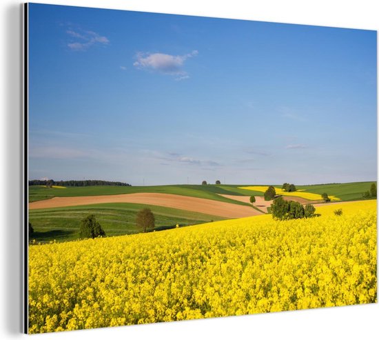 Wanddecoratie Metaal - Aluminium Schilderij Industrieel - Lente - Bloemen - Geel - 60x40 cm - Dibond - Foto op aluminium - Industriële muurdecoratie - Voor de woonkamer/slaapkamer