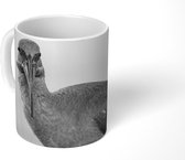 Mok - De mannelijke hadada-ibis flaneert zijnkleuren - zwart wit - 350 ML - Beker
