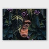 Artistic Lab Poster - Jungle Chimpanzee Ls Dibond - 100 X 140 Cm - Multicolor