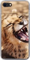 Geschikt voor iPhone SE 2020 hoesje - Cheetah - Dier - Close up - Siliconen Telefoonhoesje