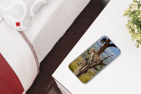 Coque iPhone XR - Léopard - Arbre - Animal - Siliconen