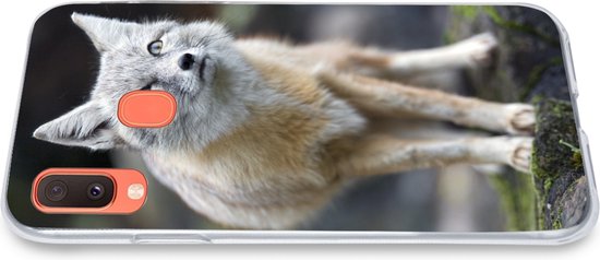 Coque Samsung Galaxy A20e - Renard - Macro - Arbre - Coque de téléphone en Siliconen