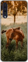 Geschikt voor Samsung Galaxy A50 hoesje - Paard - Gras - Boom - Siliconen Telefoonhoesje