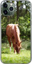 Geschikt voor iPhone 11 Pro hoesje - Paard - Bloemen - Licht - Siliconen Telefoonhoesje