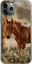 Geschikt voor iPhone 11 Pro hoesje - Paard - Licht - Weide - Siliconen Telefoonhoesje