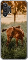 Coque Samsung Galaxy A32 5G - Cheval - Herbe - Arbre - Siliconen