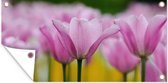 Tuinposter Bloemen - Tulpen - Roze - 80x40 cm - Wanddecoratie Buiten - Tuinposter - Tuindoek - Schuttingposter - Tuinschilderij