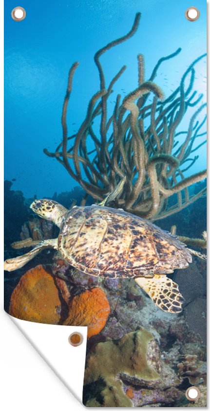 Tuinposter Een schildpad in de onderwaterwereld van de Nederlandse Antillen - 30x60 cm - Tuindoek - Buitenposter