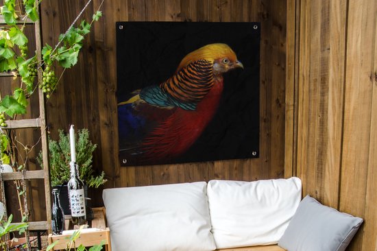Affiche de jardin Faisan doré sur fond noir Toile en vrac 100x100 cm - Toile de jardin / Toile d'extérieur / Peintures d'extérieur (décoration de jardin)