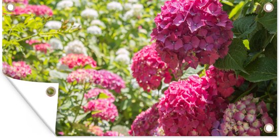 Wanddecoratie buiten Een tuin vol met roze en witte hortensia's - 160x80 cm - Tuindoek - Buitenposter