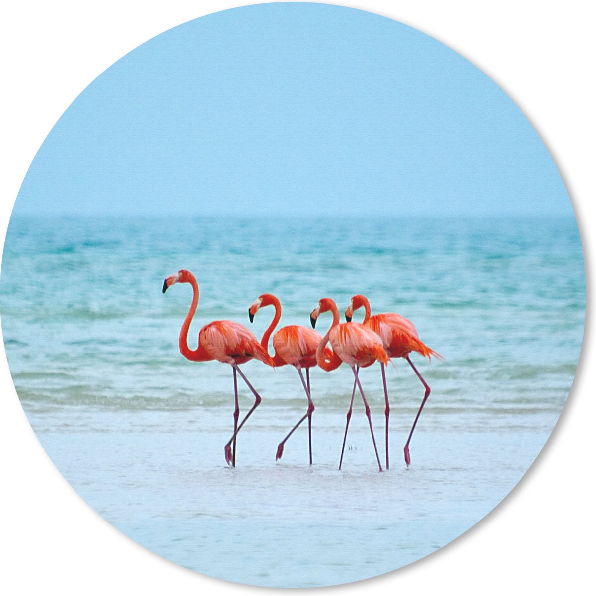 Muismat rond 50x50 cm - Mousepad Vier flamingo's staan op het strand - Ronde muismatten