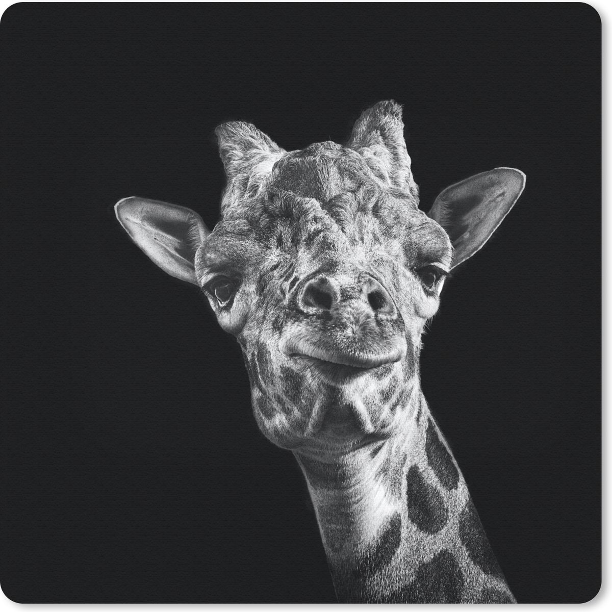 Muismat - Giraffe tegen zwarte achtergrond in zwart-wit - 20x20