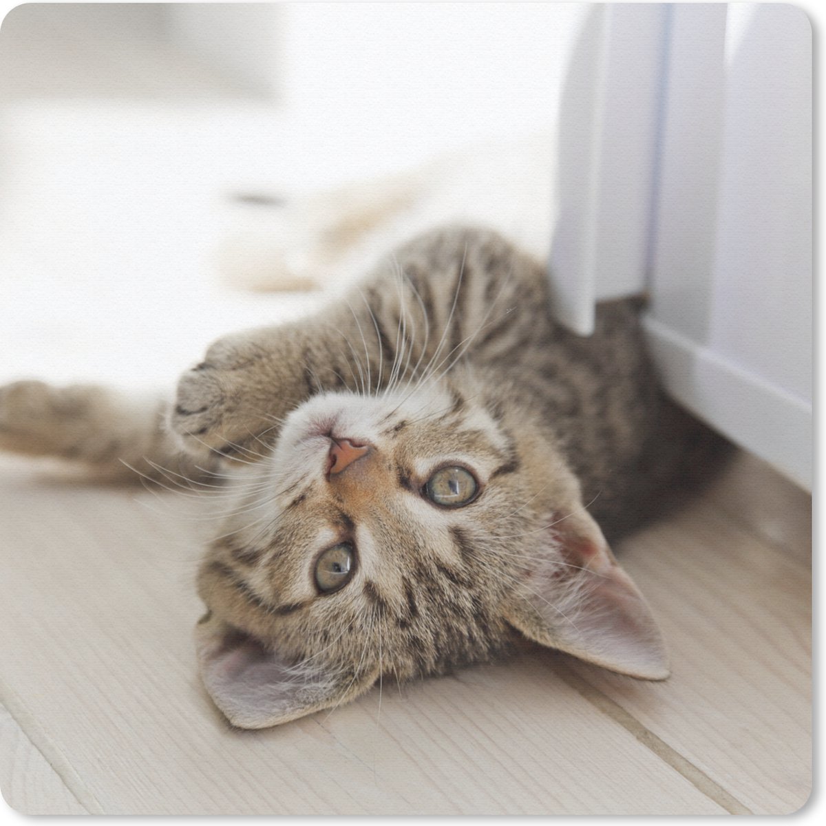 Muismat 30x30 cm - Mousepad Kitten - Zon - Bruin - Meisjes - Kinderen - Jongens - Kindje - Muismatten