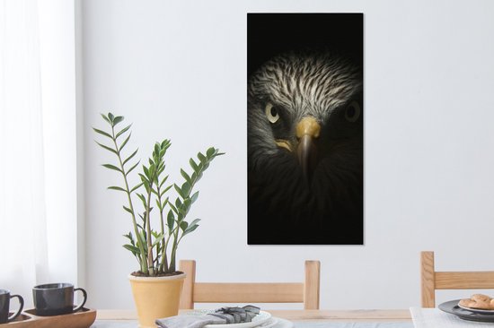 Tableau sur toile Vogel - Aigle - Rapaces - Oeil - Bec - Lumière - 40x80 cm - Décoration murale