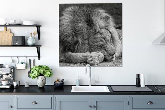 Toile de lion endormie 2cm 90x90 cm - Tirage photo sur toile (Décoration murale salon / chambre) / Peintures sur toile animaux sauvages