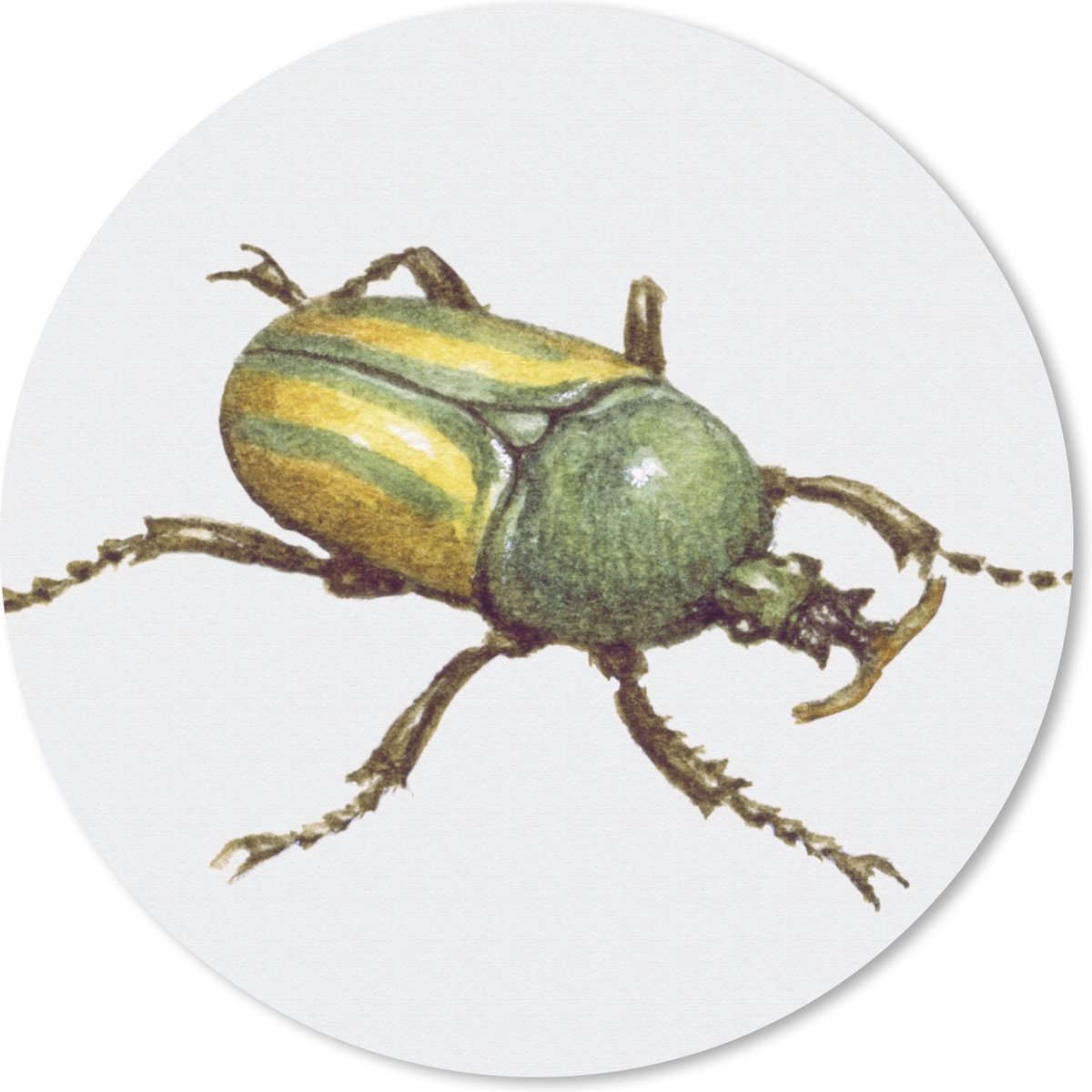 Muismat rond 30x30 cm - Mousepad Kever - Insecten - Waterverf - Ronde muismatten