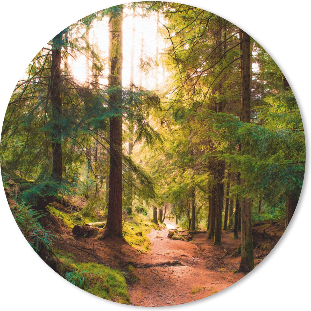 Muismat rond 40x40 cm - Mousepad Bos - Pad - Bomen - Groen - Zon - Natuur - Ronde muismatten