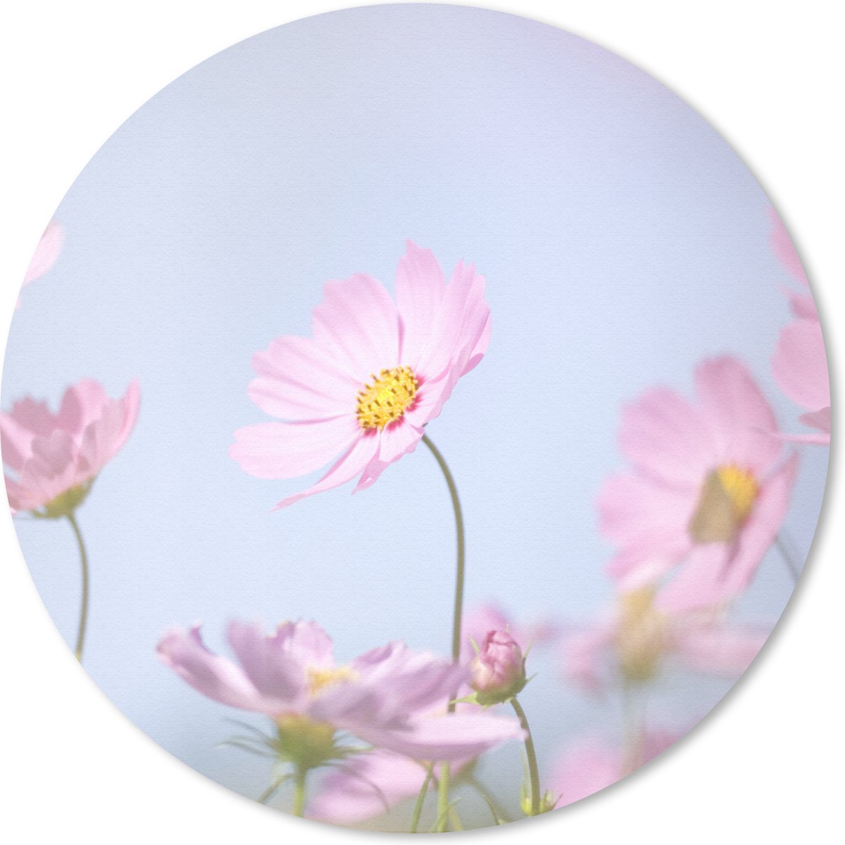 Muismat rond 40x40 cm - Mousepad Bloemen - Roze - Buiten - Natuur - Ronde muismatten