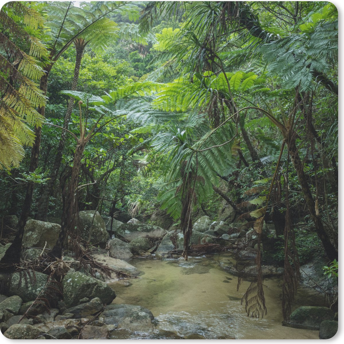 Muismat 20x20 cm - Mousepad Riviertje in tropische jungle - Muismatten