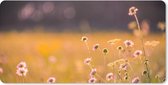 Bureau onderlegger - Muismat - Bureau mat - Bloemen - Licht - Roze - 80x40 cm