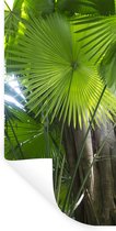 Stickers Stickers muraux - Forêt tropicale - 20x40 cm - Feuille adhésive