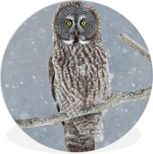 WallCircle - Wall Circle - Wall Circle Indoor - Hibou dans la Neige - 120x120 cm - Décoration murale - Peintures Ronds XXL