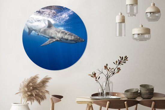 WallCircle - Cercle Mural - Cercle Mural - Requin - Mer - Water - Aluminium - Dibond - 140x140 cm - Intérieur et Extérieur