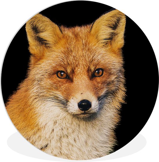 Cercle Mural - Cercle Mural Intérieur - Renard - Rouge - Zwart - ⌀ 90 cm - Décoration murale - Peintures Ronds