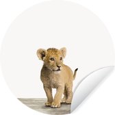 WallCircle - Stickers muraux - Cercle de papier peint - Animaux - Lion - Lionceau - 50x50 cm - Cercle mural - Autocollant - Autocollant papier peint rond