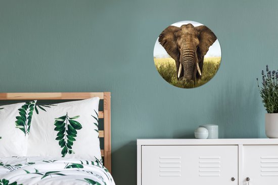 Cercle mural - Cercle mural Intérieur - ⌀ 30 cm - Plastique - Éléphant - Herbe - Champ