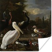 Poster Een pelikaan en ander gevogelte bij een waterbassin - Schilderij van Melchior d'Hondecoeter - 75x75 cm