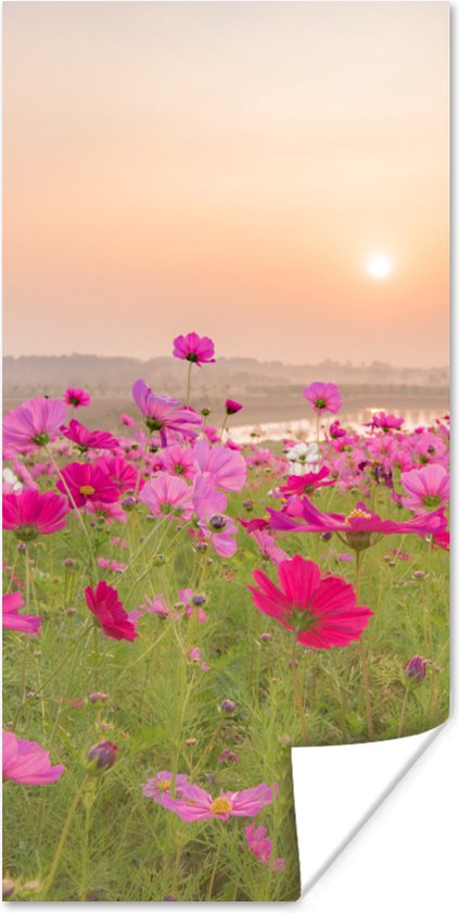 Affiche Prairie de Fleurs - Rose - Coquelicots - 20x40 cm