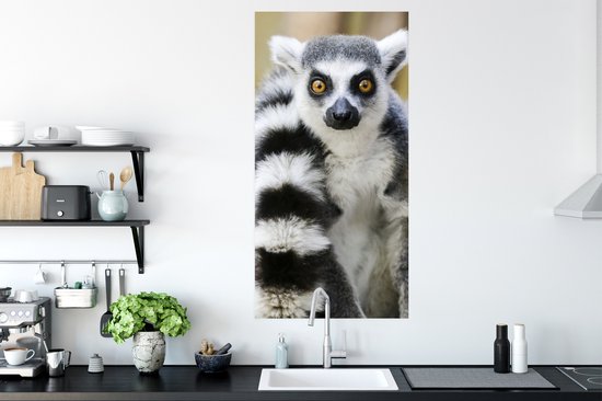 Affiche Singe - Lémur catta - Animal - 60x120 cm