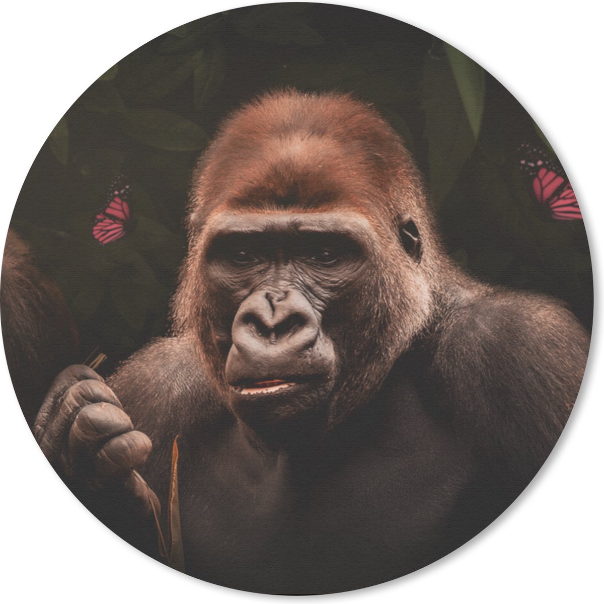 Muismat rond 30x30 cm - Mousepad Dieren - Aap - Gorilla - Ronde muismatten