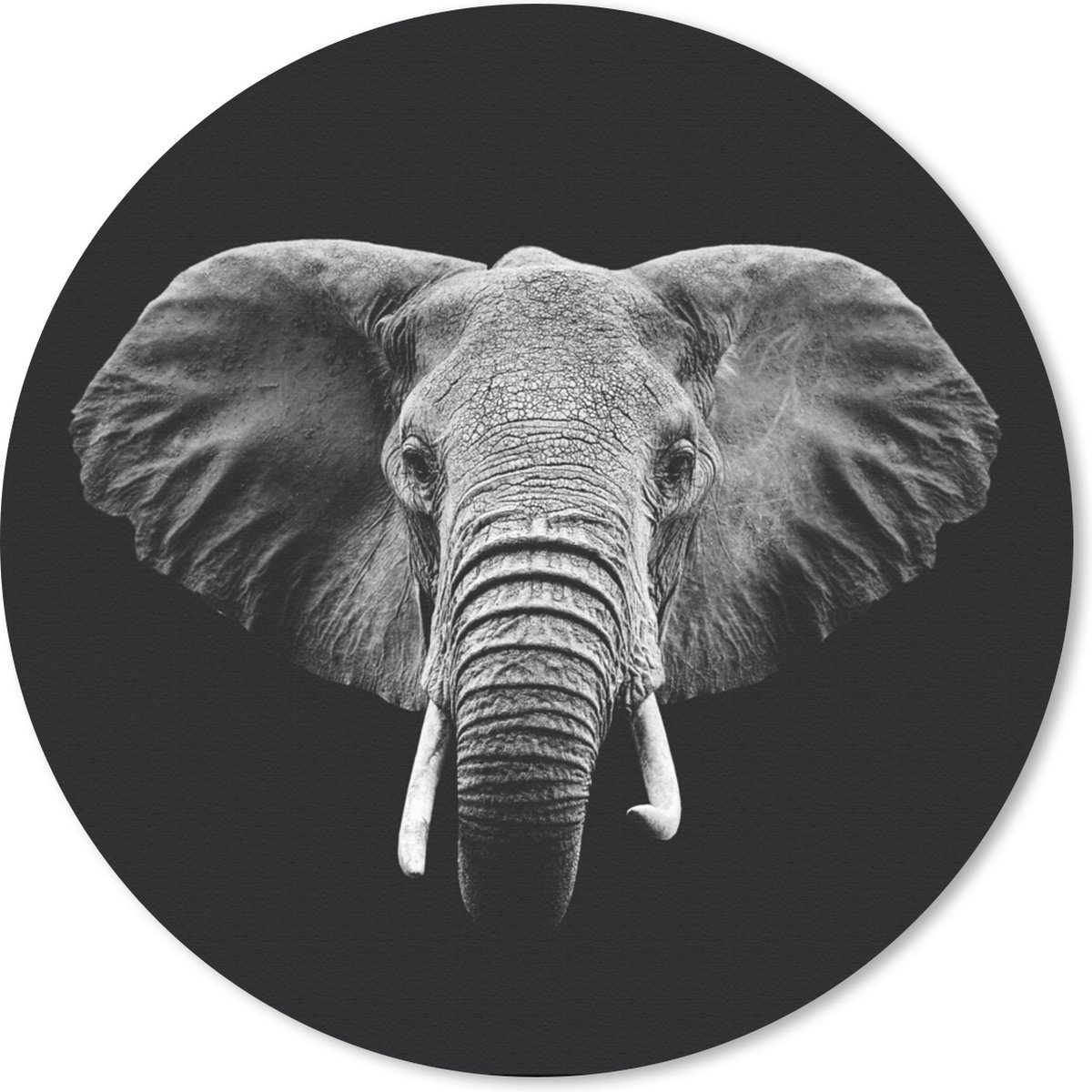 Muismat rond 30x30 cm - Mousepad Olifant - Dieren - Zwart - Wit - Ronde muismatten