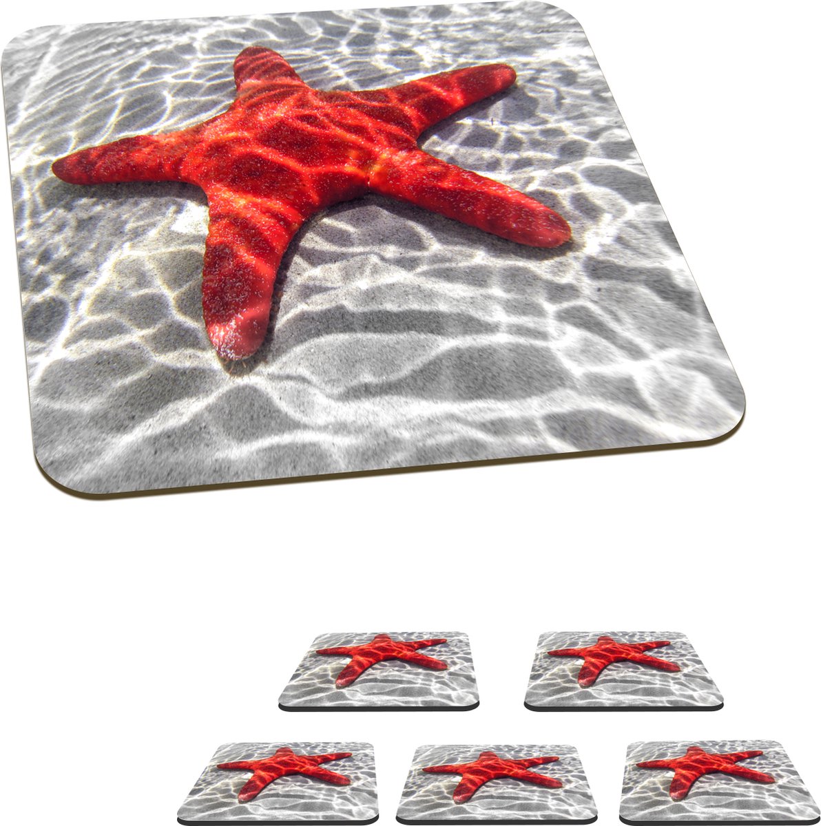Witte zeester - maritiem decoratiemateriaal