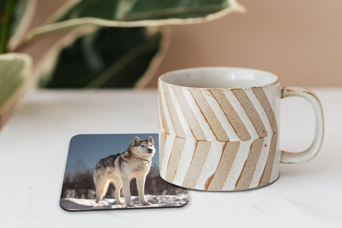Onderzetters voor glazen - Husky in de sneeuw - 10x10 cm - Glasonderzetters - 6 stuks
