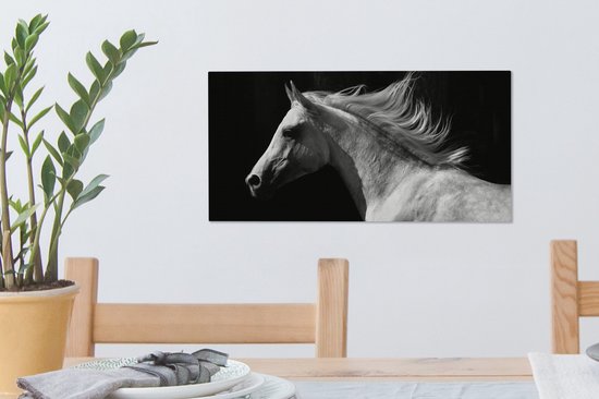 Tableau sur Toile Paarden - Animal de la Ferme - Crinière - 40x20 cm - Décoration murale