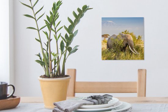 Tableau Toile Éléphant - Animaux - Herbe - Vert - Berg - 20x20 cm - Décoration Murale