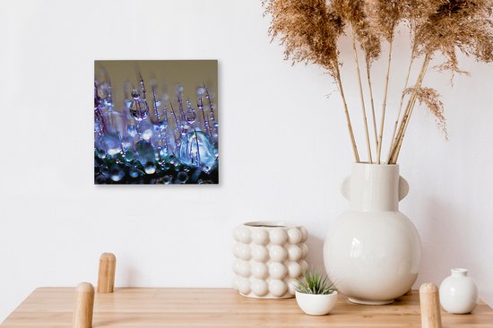 Tableau sur toile A close up early rosée - 20x20 cm - Décoration murale Art