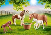 PLAYMOBIL Country Pony's met veulens - 70682