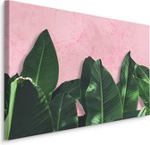 Schilderij - Bananenblad op roze achtergrond, 4 maten, premium print