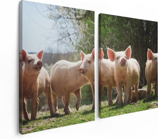 Artaza Canvas Schilderij Tweeluik Groep Jonge Varkens - 120x80 - Foto Op Canvas - Canvas Print