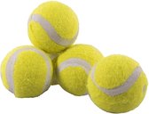 Rosewood jolly doggy tennisbal mini - 5 st - 1 stuks