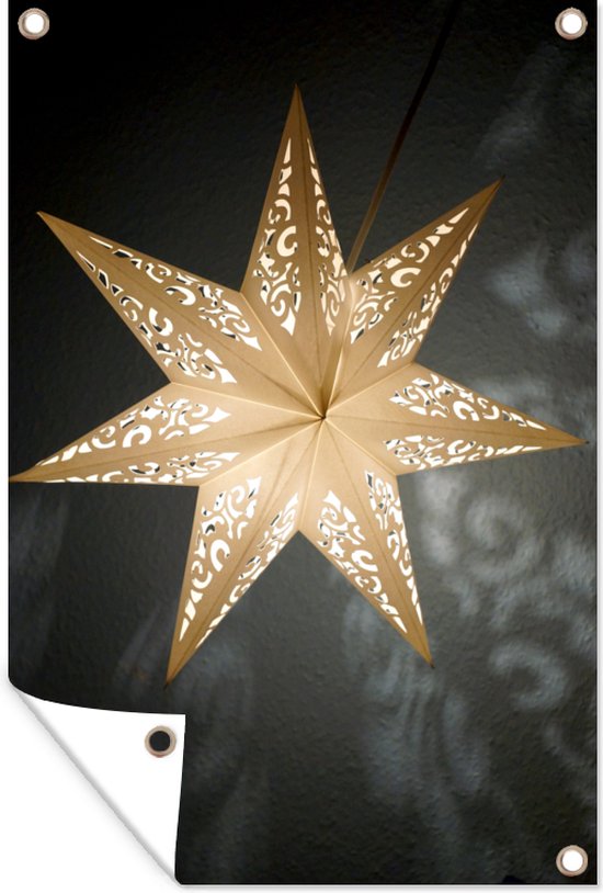 Une étoile illuminée pendant le jardin d'hiver affiche 80x120 cm - Toile de jardin / Toile d'extérieur / Peintures d'extérieur (décoration de jardin)